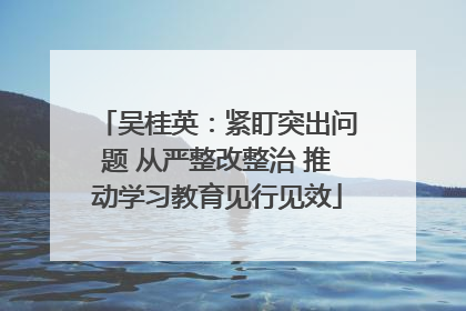 吴桂英：紧盯突出问题 从严整改整治 推动学习教育见行见效