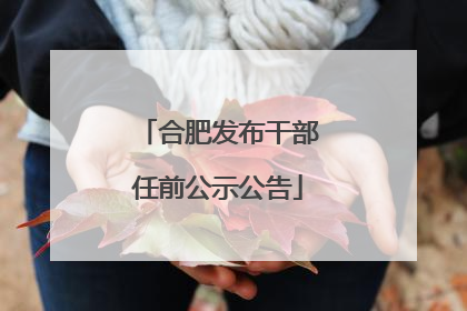 合肥发布干部任前公示公告