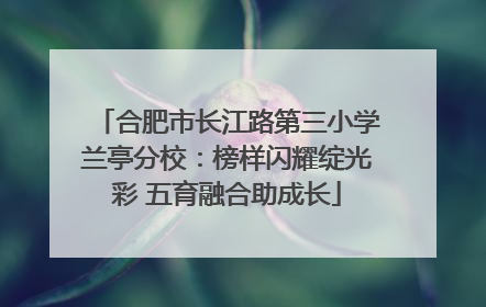 合肥市长江路第三小学兰亭分校：榜样闪耀绽光彩 五育融合助成长