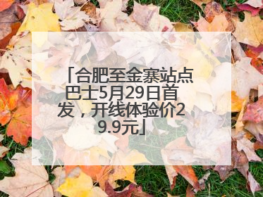合肥至金寨站点巴士5月29日首发，开线体验价29.9元