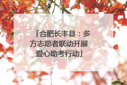 合肥长丰县：多方志愿者联动开展爱心助考行动