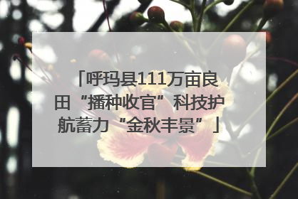 呼玛县111万亩良田“播种收官”科技护航蓄力“金秋丰景”