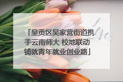 呈贡区吴家营街道携手云南师大 校地联动铺就青年就业创业路