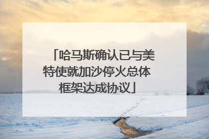 哈马斯确认已与美特使就加沙停火总体框架达成协议