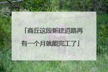 商丘这段新建道路再有一个月就能完工了