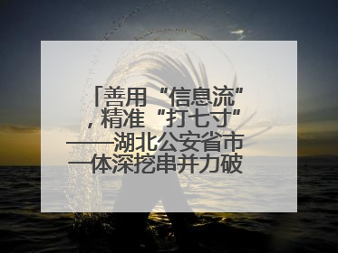 善用“信息流”，精准“打七寸”——湖北公安省市一体深挖串并力破民生案