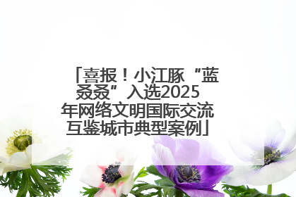 喜报！小江豚“蓝叒叒”入选2025年网络文明国际交流互鉴城市典型案例