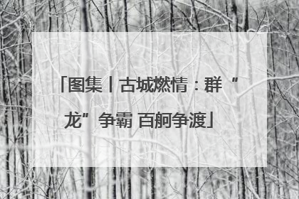 图集丨古城燃情：群“龙”争霸 百舸争渡