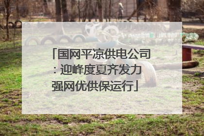 国网平凉供电公司：迎峰度夏齐发力 强网优供保运行