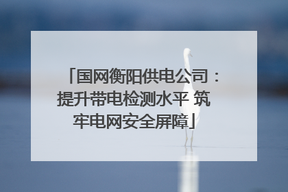 国网衡阳供电公司：提升带电检测水平 筑牢电网安全屏障