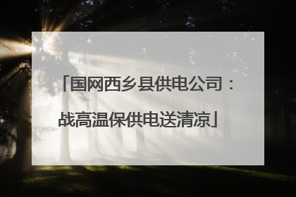 国网西乡县供电公司：战高温保供电送清凉