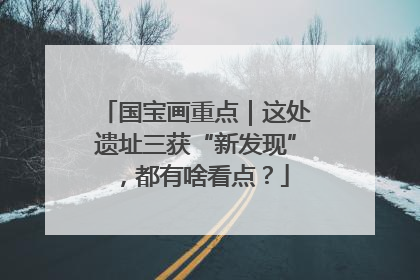 国宝画重点｜这处遗址三获“新发现”，都有啥看点？