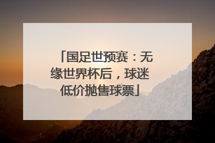 国足世预赛：无缘世界杯后，球迷低价抛售球票