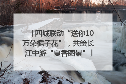 四城联动“送你10万朵栀子花”，共绘长江中游“夏香图景”
