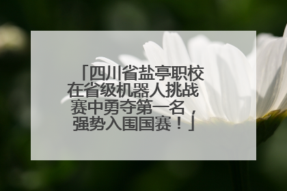 四川省盐亭职校在省级机器人挑战赛中勇夺第一名，强势入围国赛！