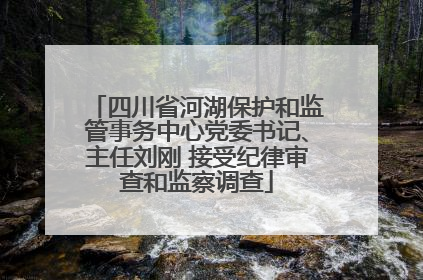 四川省河湖保护和监管事务中心党委书记、主任刘刚 接受纪律审查和监察调查
