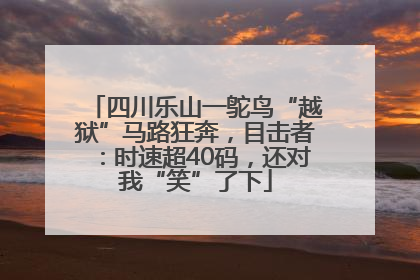 四川乐山一鸵鸟“越狱”马路狂奔，目击者：时速超40码，还对我“笑”了下