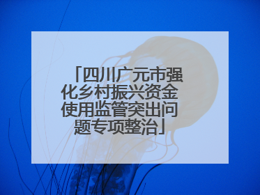 四川广元市强化乡村振兴资金使用监管突出问题专项整治