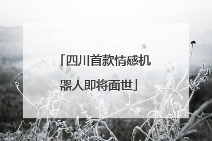 四川首款情感机器人即将面世