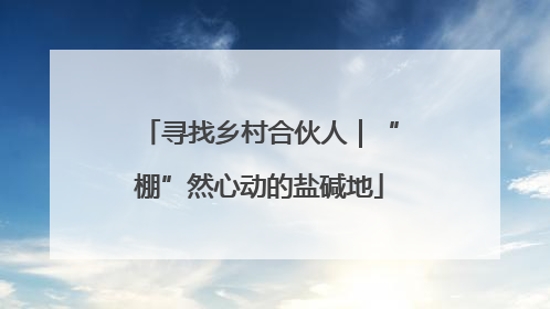 寻找乡村合伙人｜“棚”然心动的盐碱地