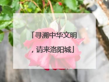 寻溯中华文明，请来洛阳城