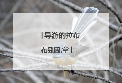 导游的拉布布别乱拿