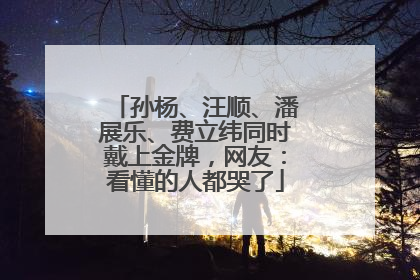 孙杨、汪顺、潘展乐、费立纬同时戴上金牌，网友：看懂的人都哭了