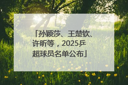 孙颖莎、王楚钦、许昕等，2025乒超球员名单公布