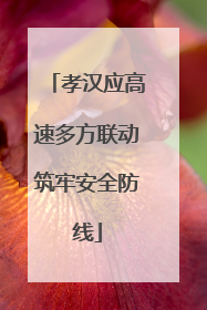 孝汉应高速多方联动筑牢安全防线