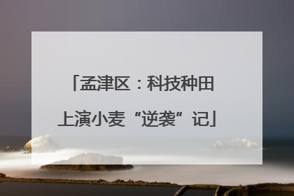 孟津区：科技种田 上演小麦“逆袭”记