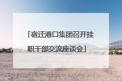 宿迁港口集团召开挂职干部交流座谈会