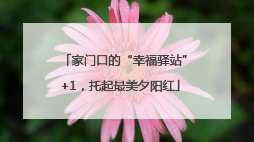 家门口的“幸福驿站”+1，托起最美夕阳红
