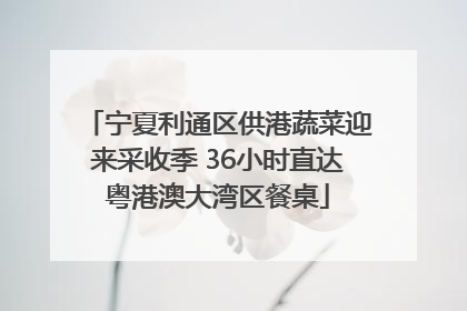 宁夏利通区供港蔬菜迎来采收季 36小时直达粤港澳大湾区餐桌