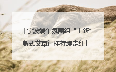 宁波端午氛围组“上新” 新式艾草门挂持续走红