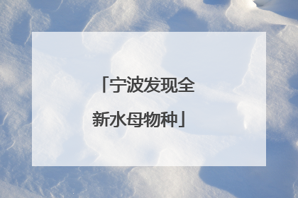 宁波发现全新水母物种