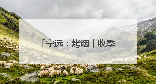 宁远：烤烟丰收季 烟农“赶烤”忙