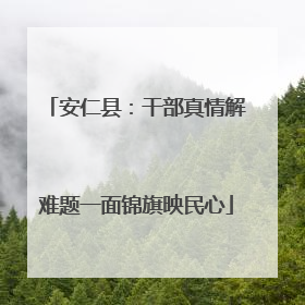 安仁县：干部真情解难题一面锦旗映民心