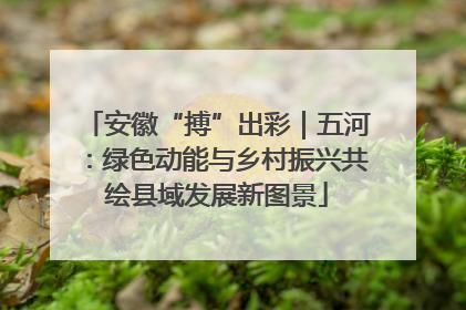 安徽“搏”出彩｜五河：绿色动能与乡村振兴共绘县域发展新图景