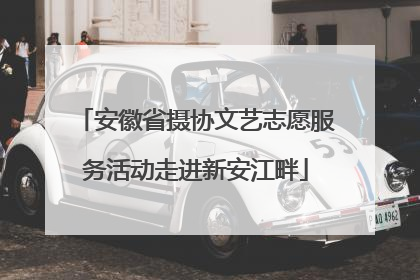 安徽省摄协文艺志愿服务活动走进新安江畔