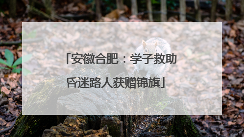 安徽合肥：学子救助昏迷路人获赠锦旗