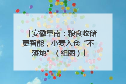 安徽阜南：粮食收储更智能，小麦入仓“不落地”（组图）