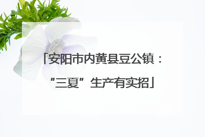 安阳市内黄县豆公镇：“三夏”生产有实招