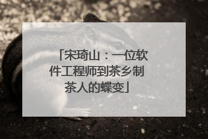 宋琦山：一位软件工程师到茶乡制茶人的蝶变