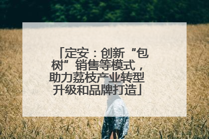 定安：创新“包树”销售等模式，助力荔枝产业转型升级和品牌打造