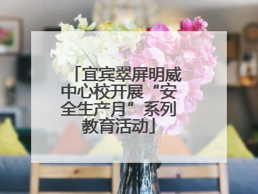 宜宾翠屏明威中心校开展“安全生产月”系列教育活动