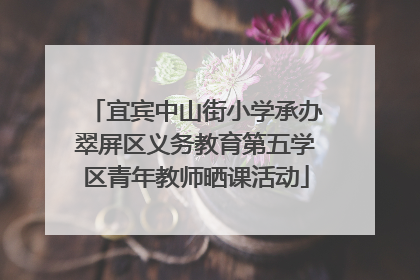 宜宾中山街小学承办翠屏区义务教育第五学区青年教师晒课活动