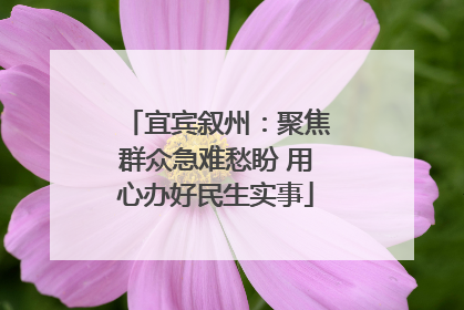宜宾叙州：聚焦群众急难愁盼 用心办好民生实事