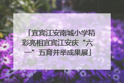 宜宾江安南城小学精彩亮相宜宾江安庆“六一”五育并举成果展