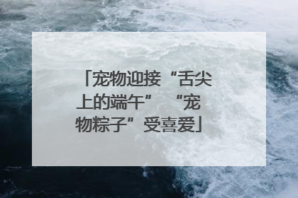 宠物迎接“舌尖上的端午” “宠物粽子”受喜爱