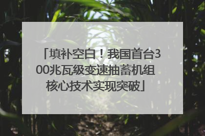 填补空白！我国首台300兆瓦级变速抽蓄机组核心技术实现突破